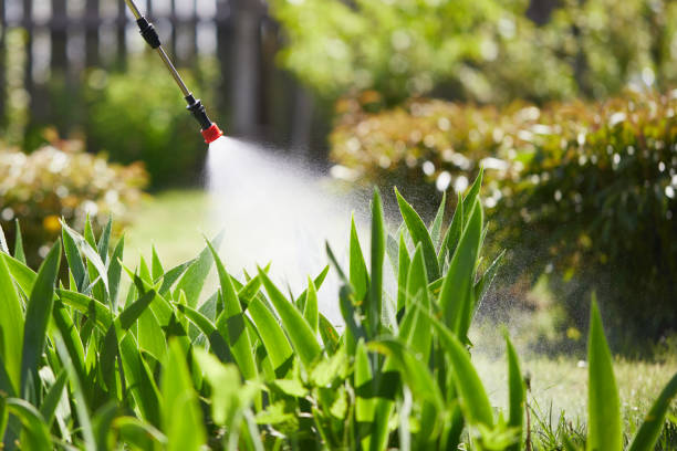 24/7 Emergency Fumigation Services experts in Pandora, OH