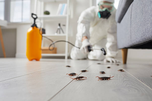 Trusted Fumigation Services service in Pandora, OH - Nex Pest Control