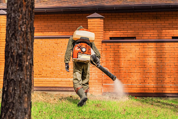Trusted Cockroach Control service in Pandora, OH - Nex Pest Control
